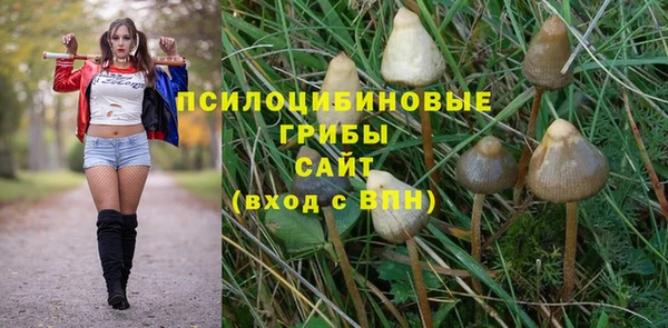 дживик Лабытнанги