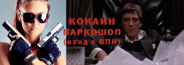 молекула духа Лагань