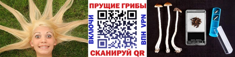 Галлюциногенные грибы Cubensis  Купить закладки  Красный Сулин 